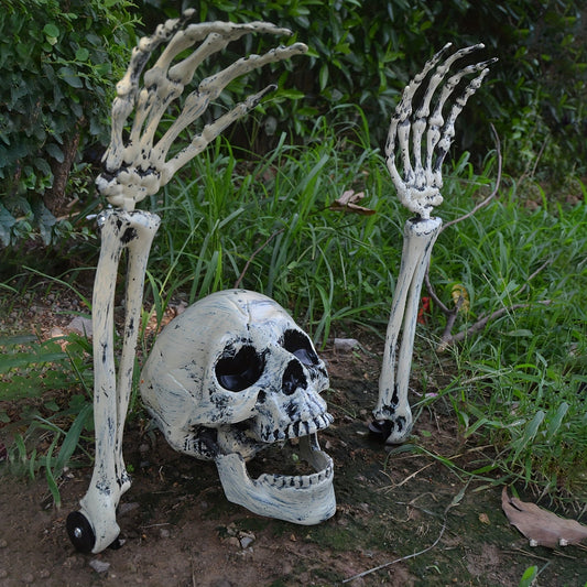 Halloween Schedel Grond Decoratieset