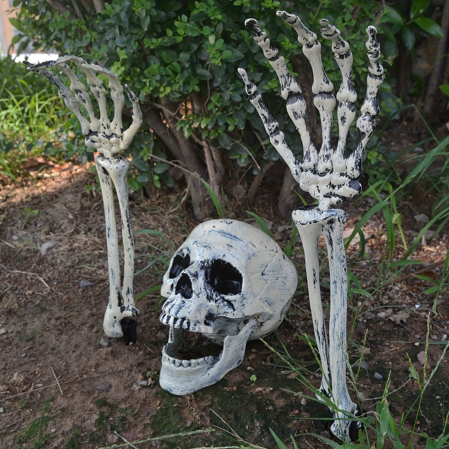 Halloween Schedel Grond Decoratieset