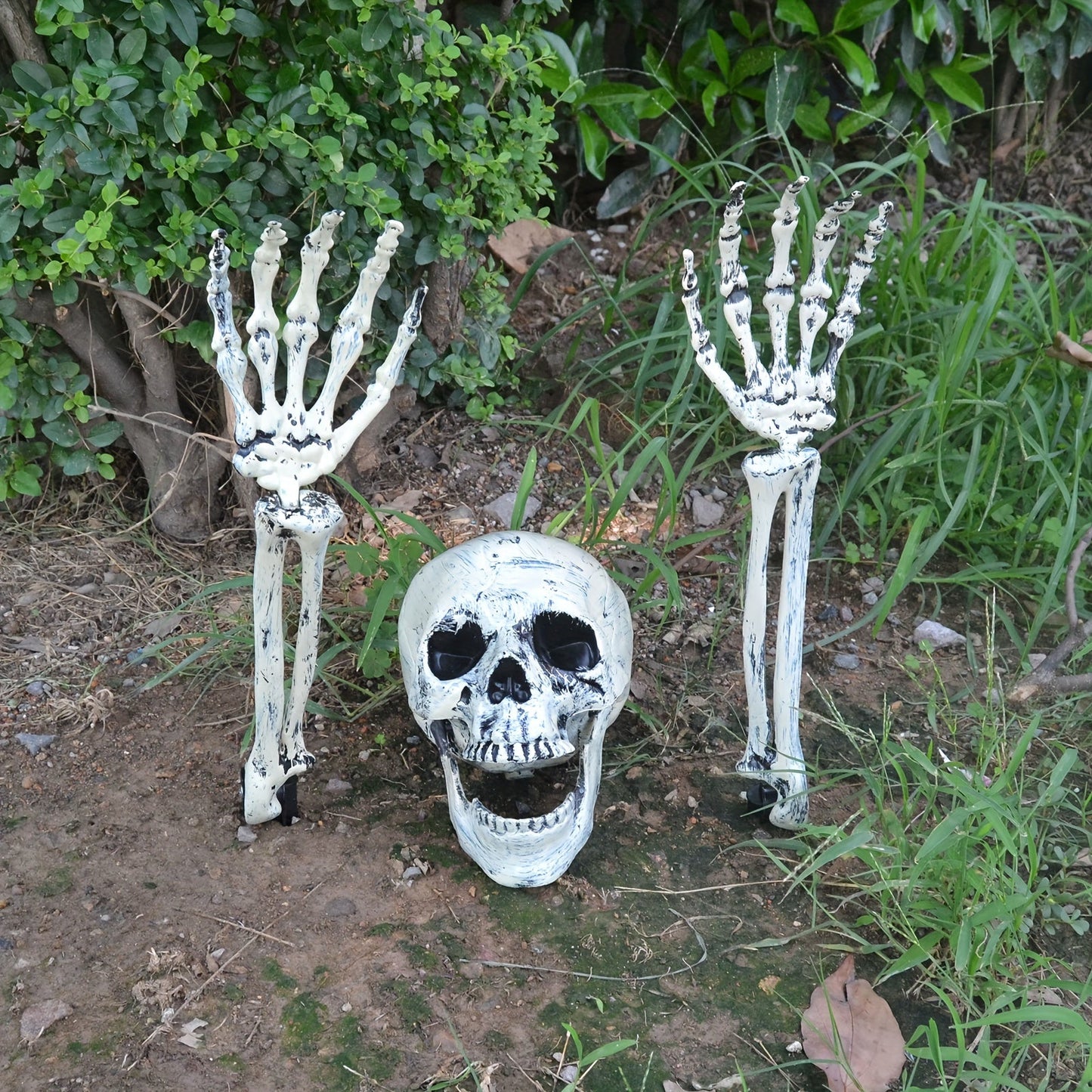 Halloween Schedel Grond Decoratieset