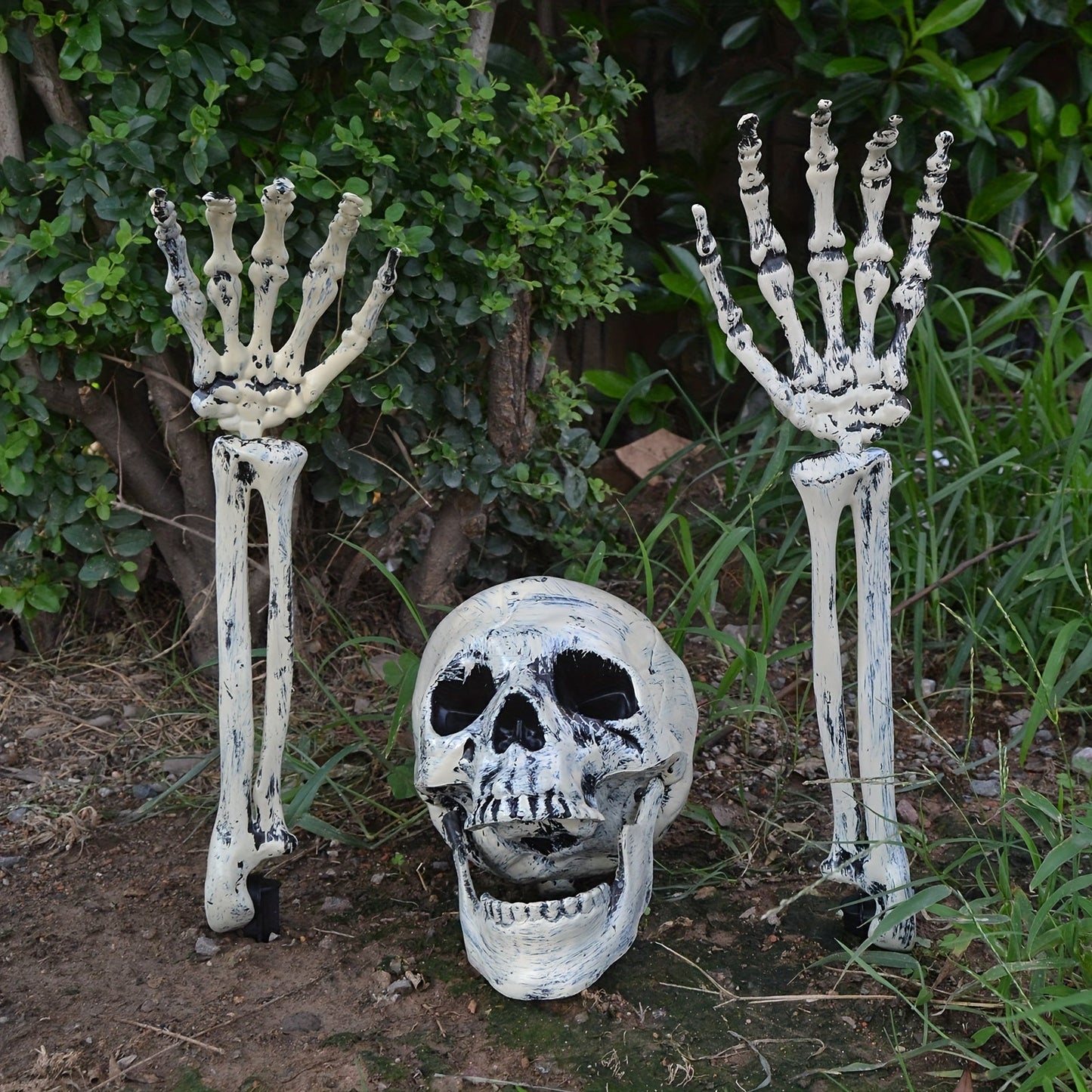 Halloween Schedel Grond Decoratieset