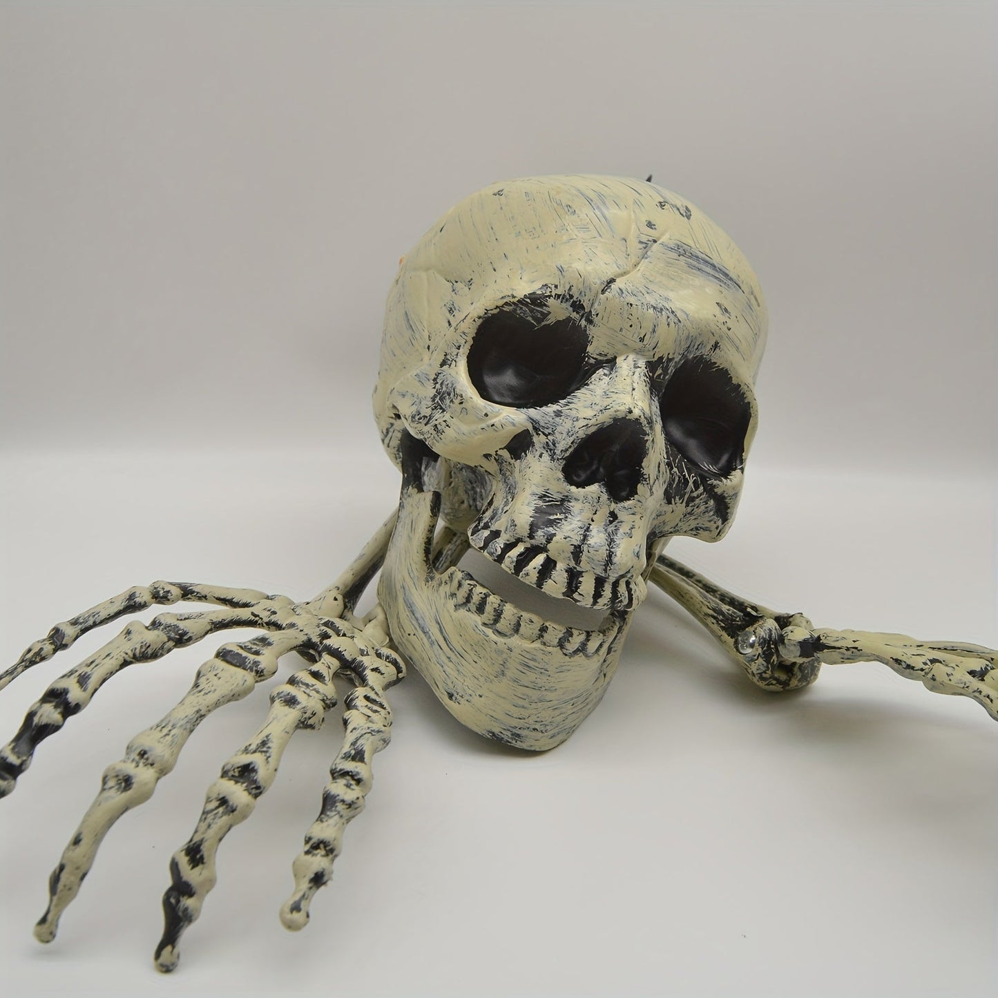 Halloween Schedel Grond Decoratieset